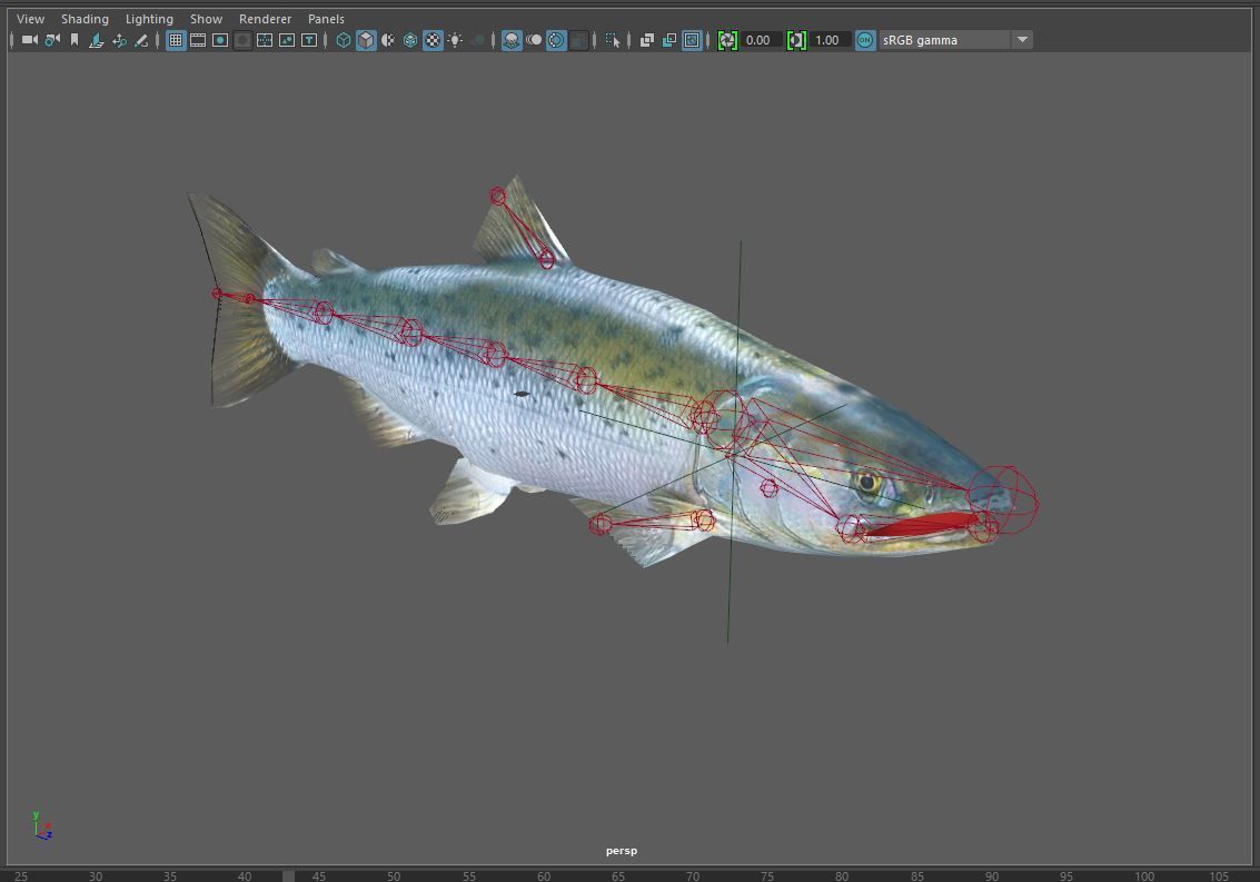 Salmon Plus Animation  Low-poly 3D model_17