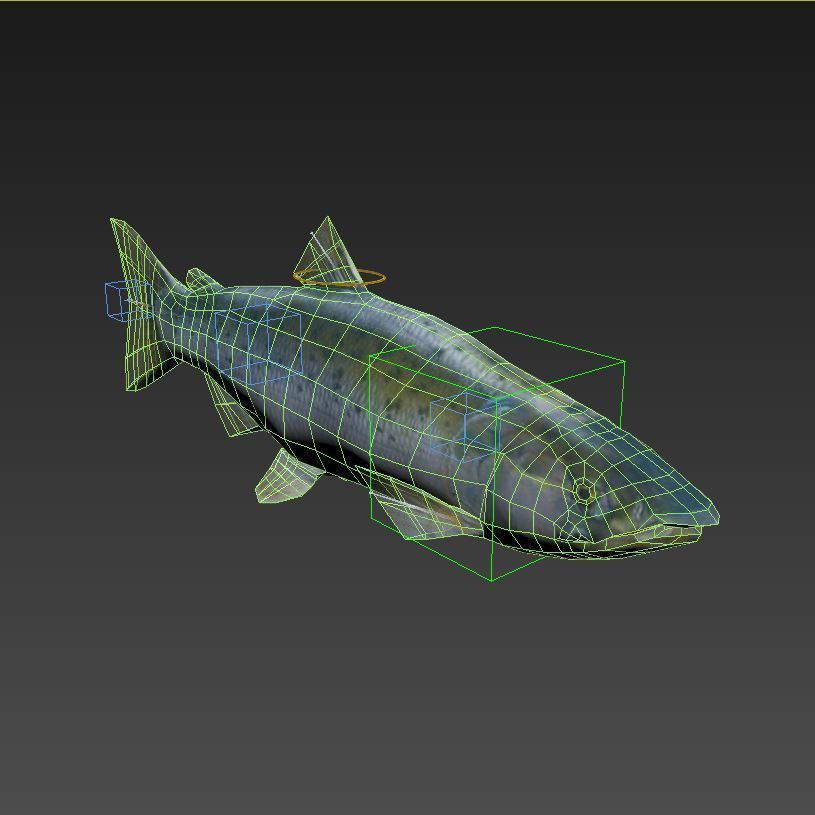 Salmon Plus Animation  Low-poly 3D model_16