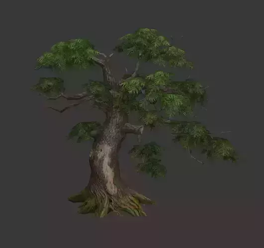 Pine Tree model Free low-poly 3D model