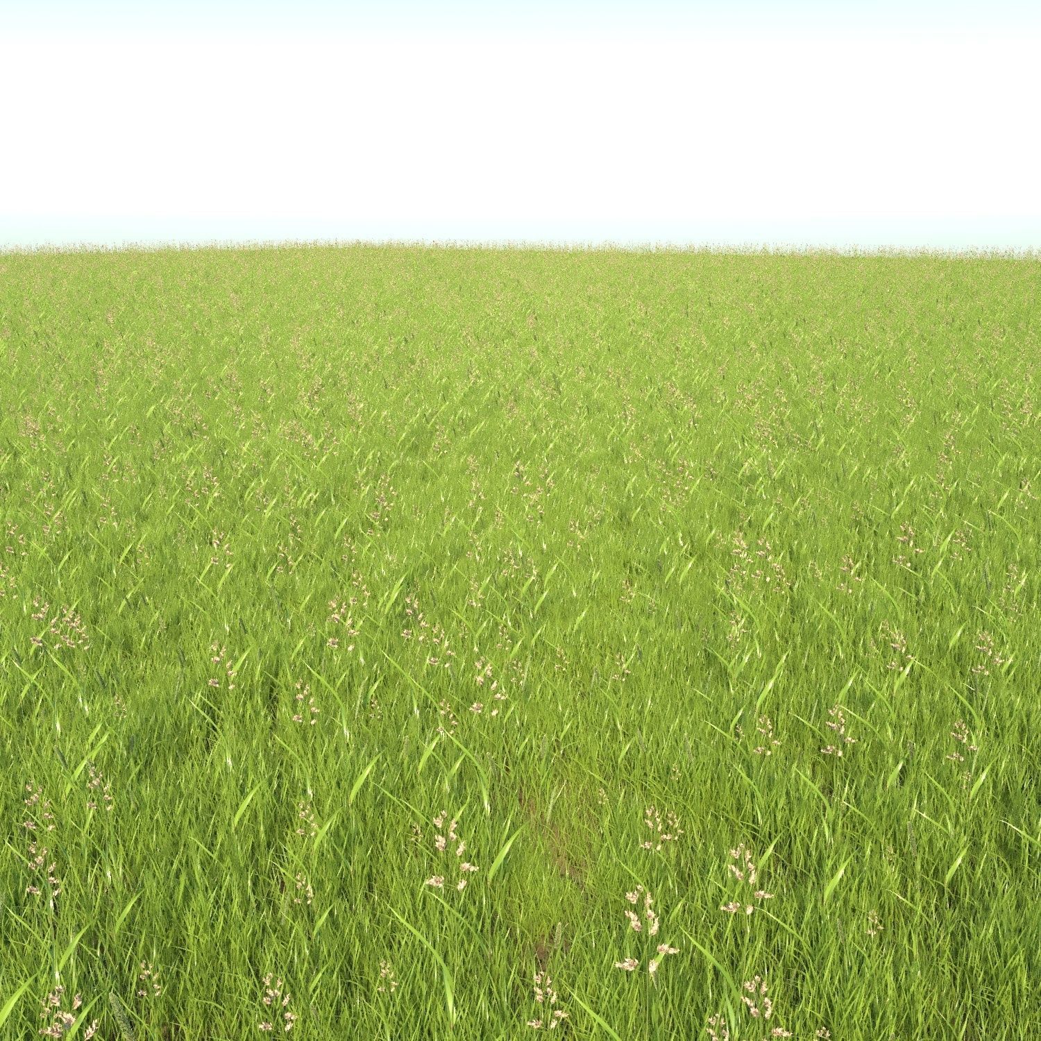 Grass001 Low-poly 3D model_3