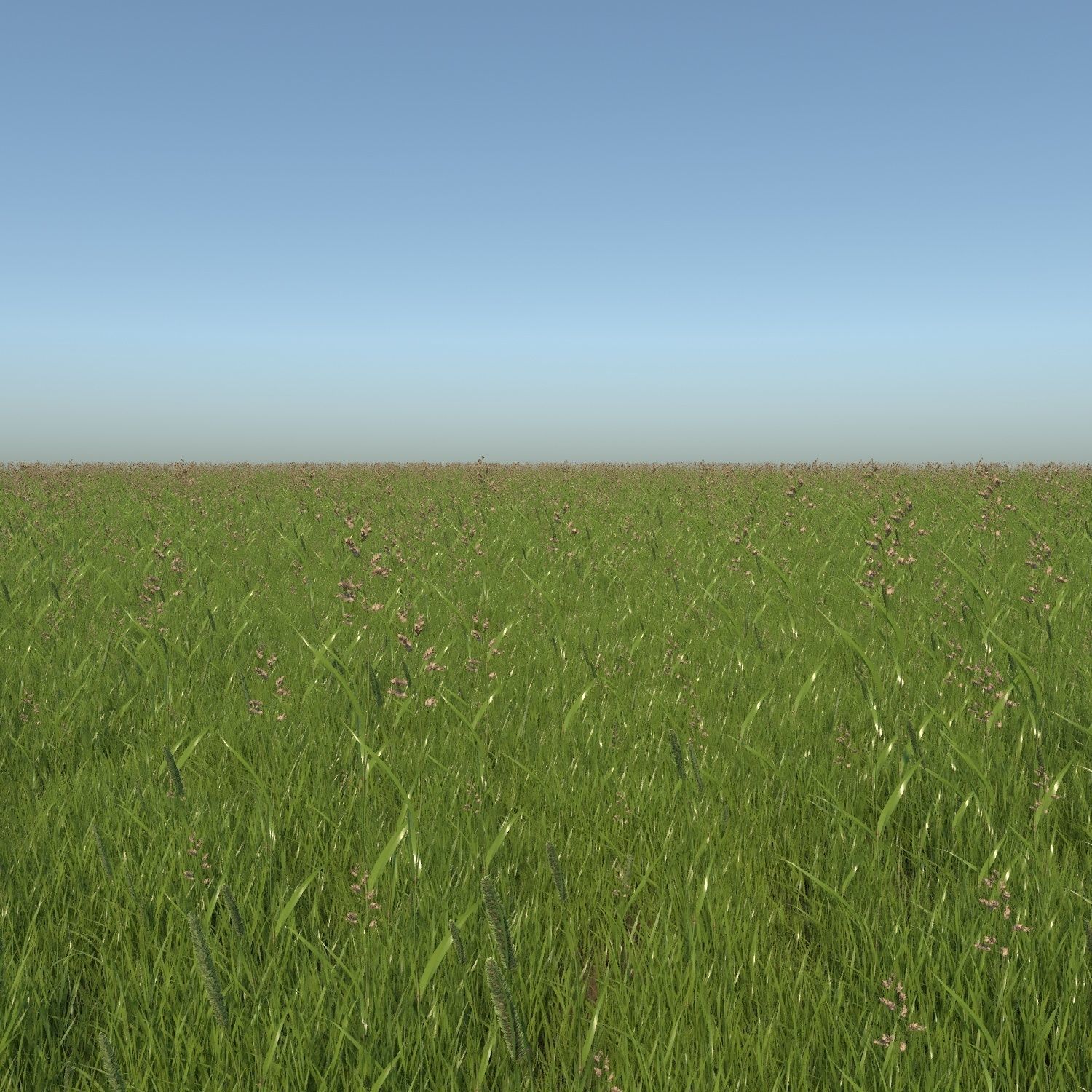 Grass001 Low-poly 3D model_1