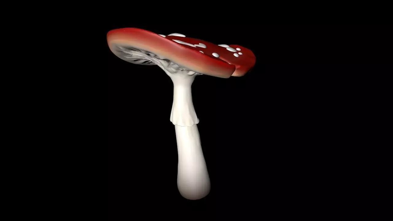 Mushroom bend Free 3D model