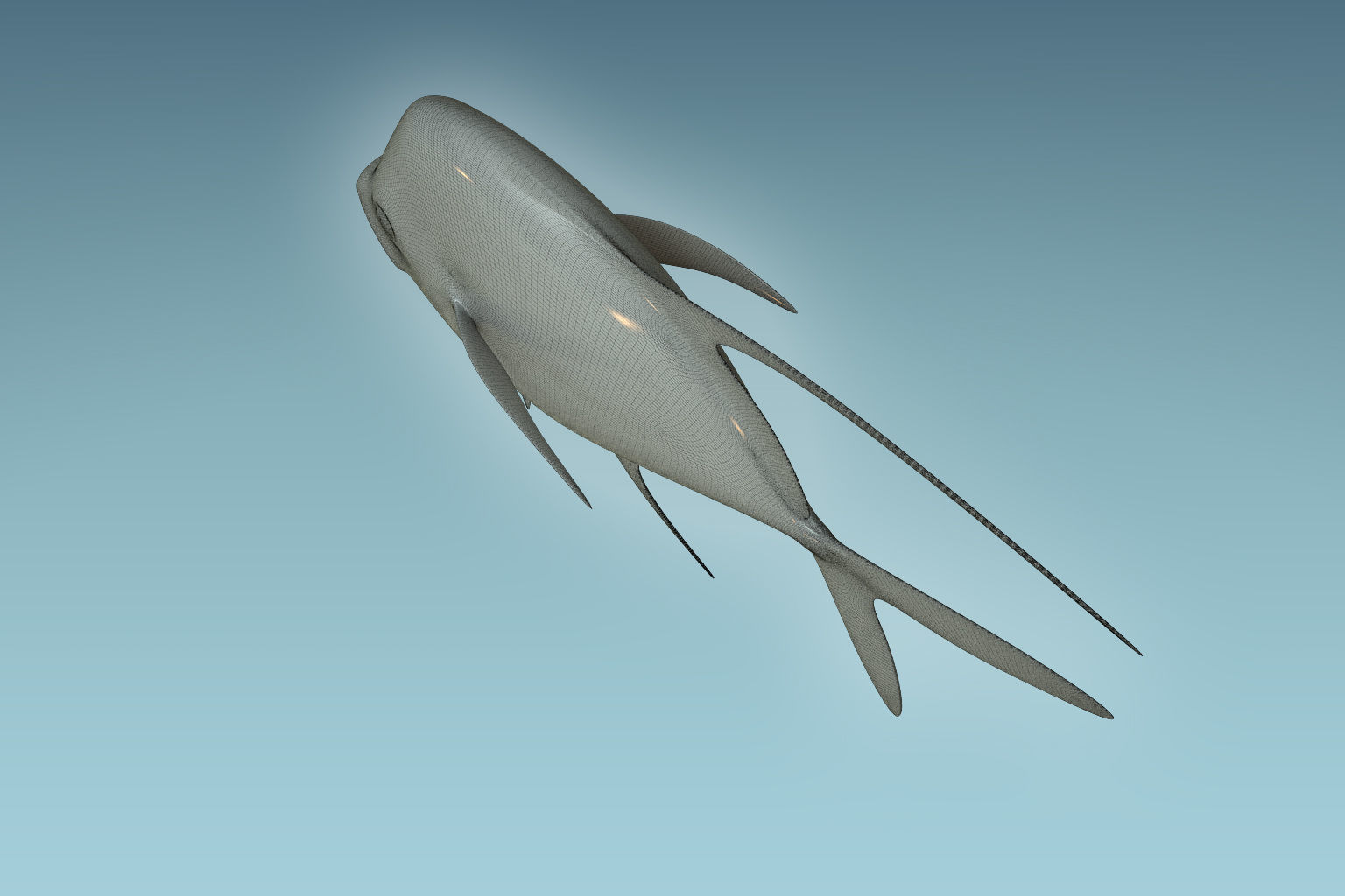 Selene Fish 3D model_8