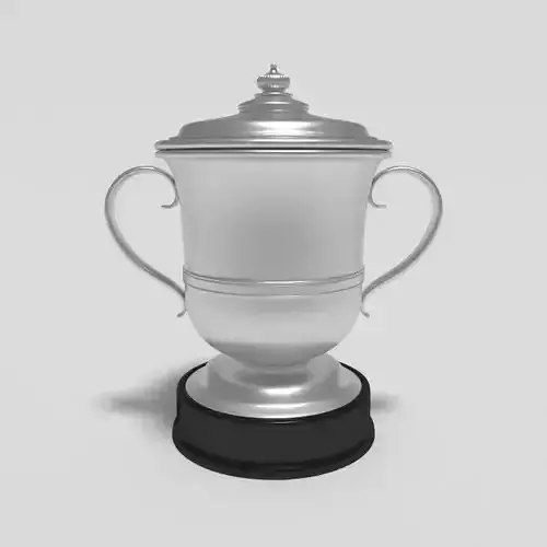 Football Trophy Cup 