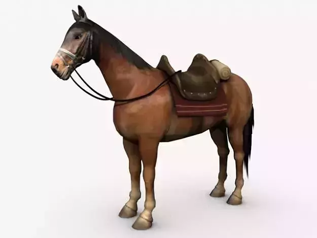Horse with saddle