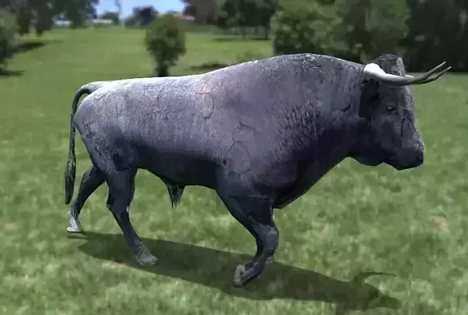 Toro Bravo Low-poly 3D model