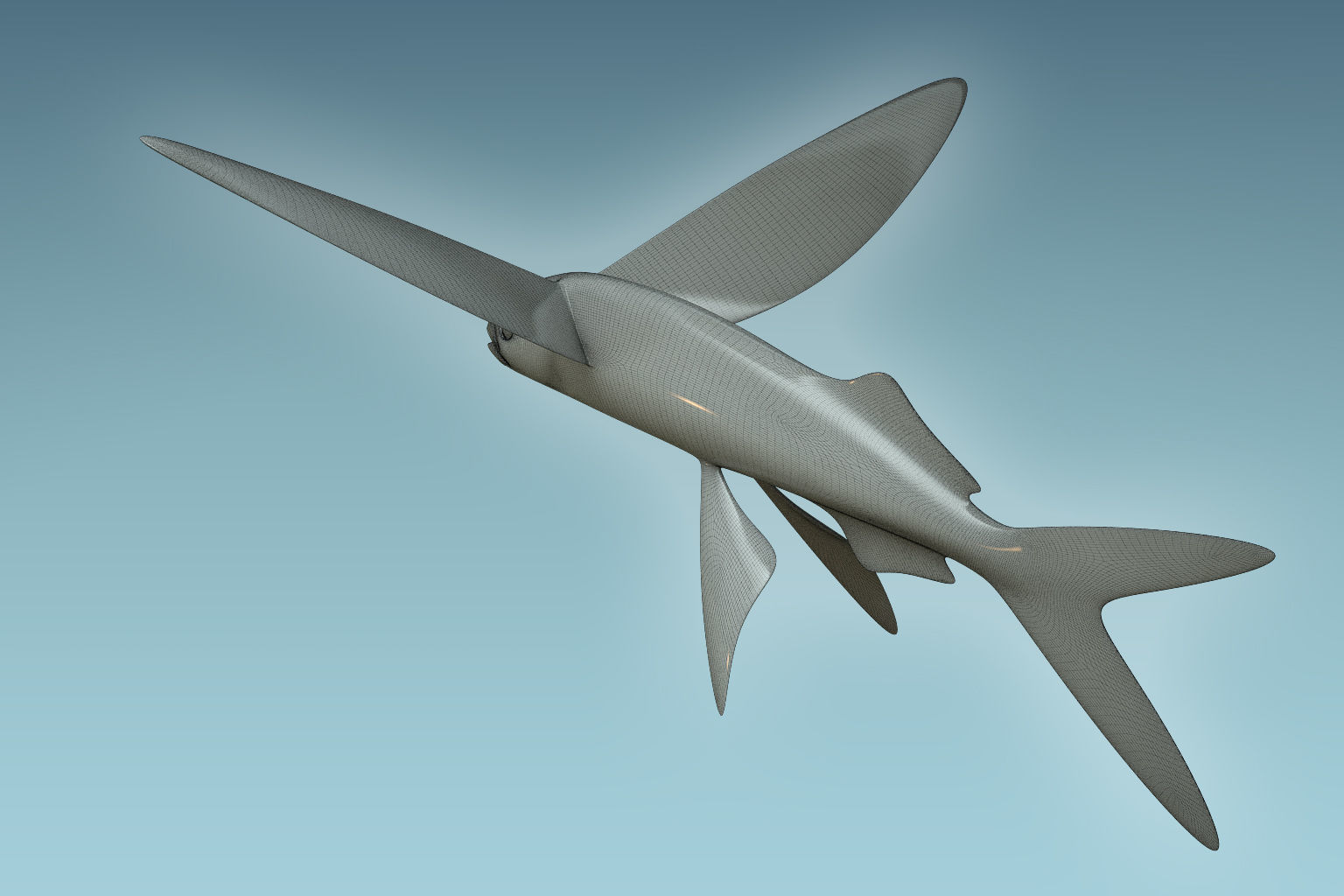 Atlantic Flying Fish 3D model_7