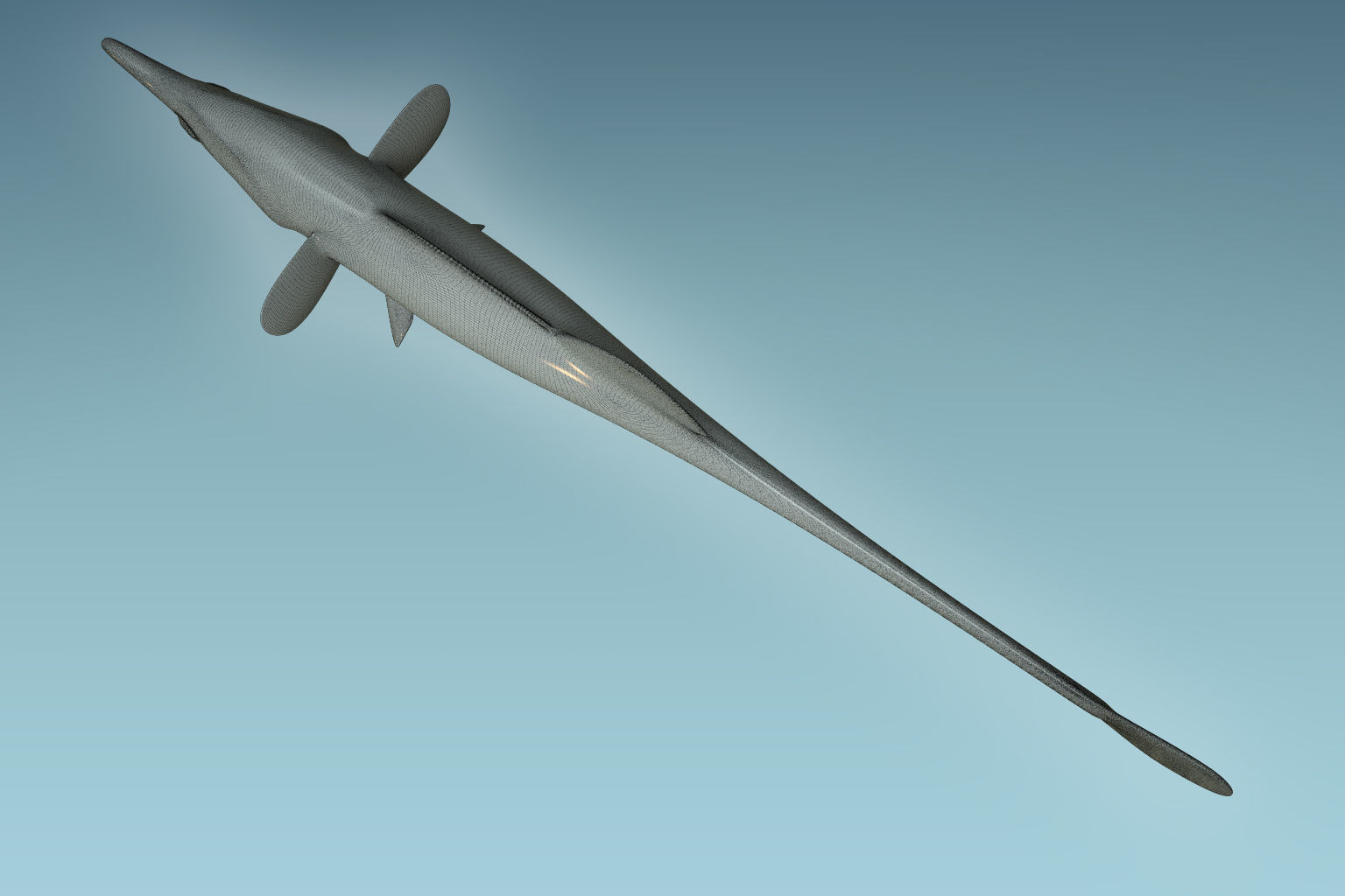 Paradoxus Fish 3D model_8