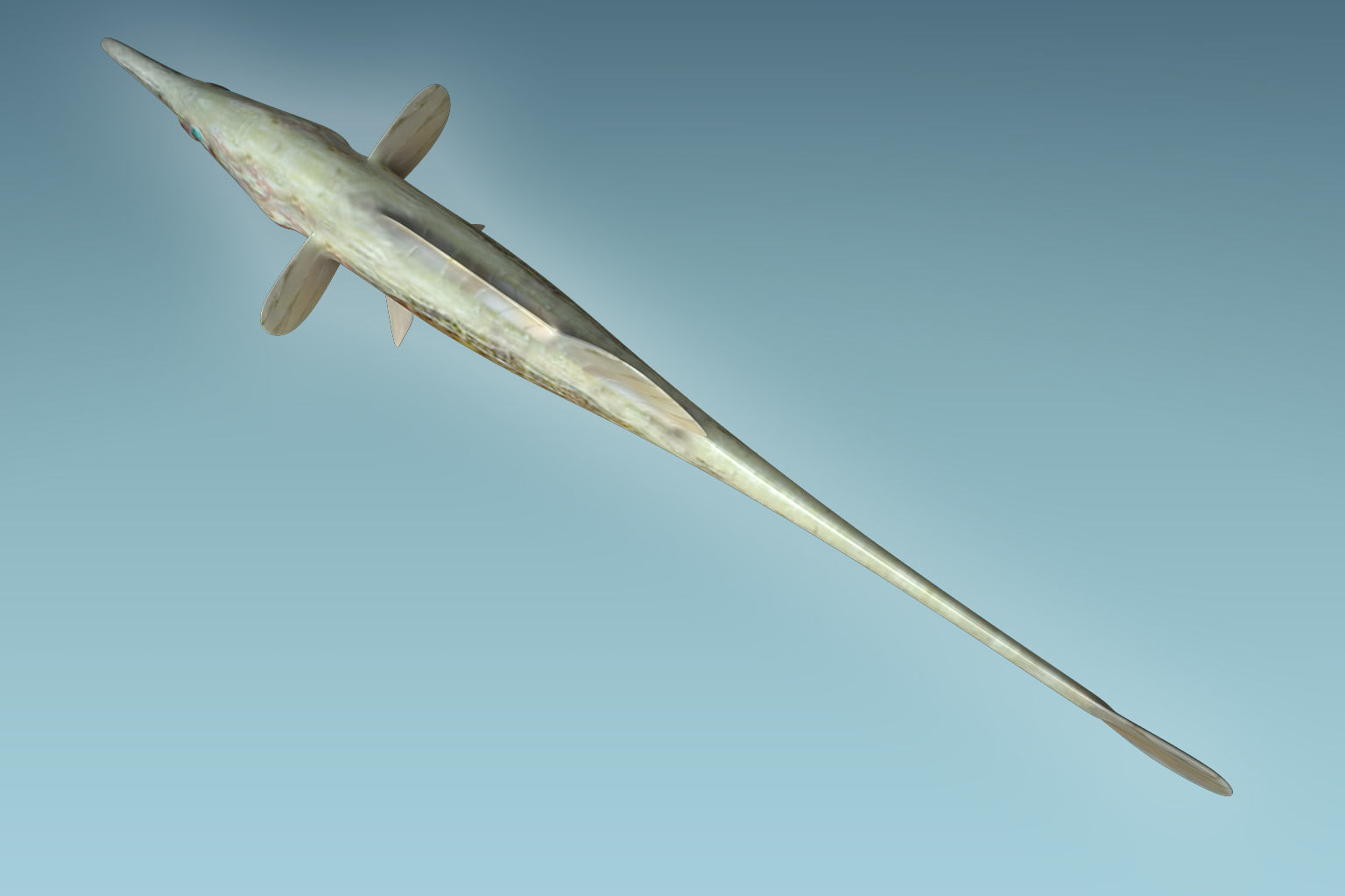 Paradoxus Fish 3D model_4