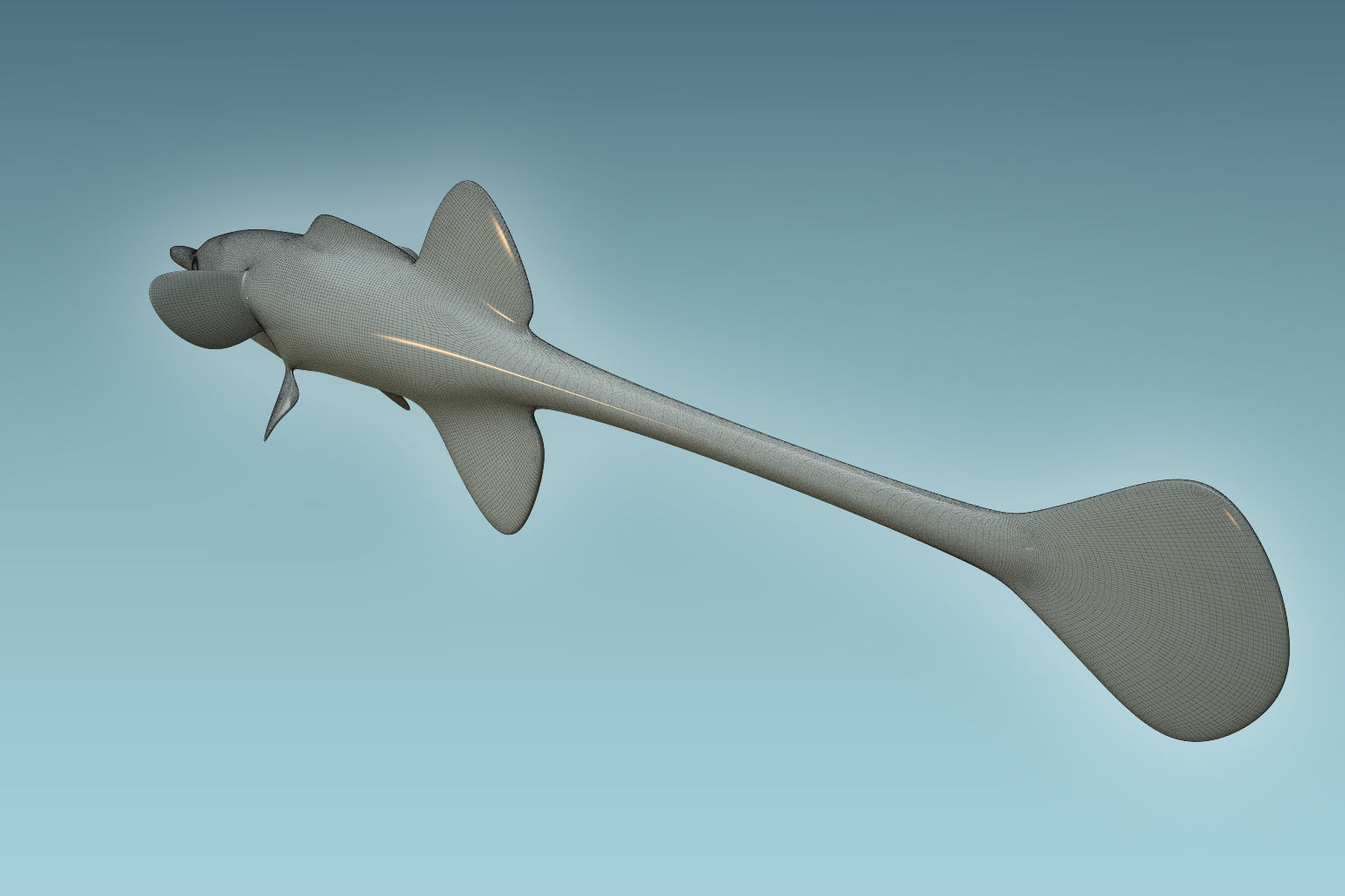Paradoxus Fish 3D model_7