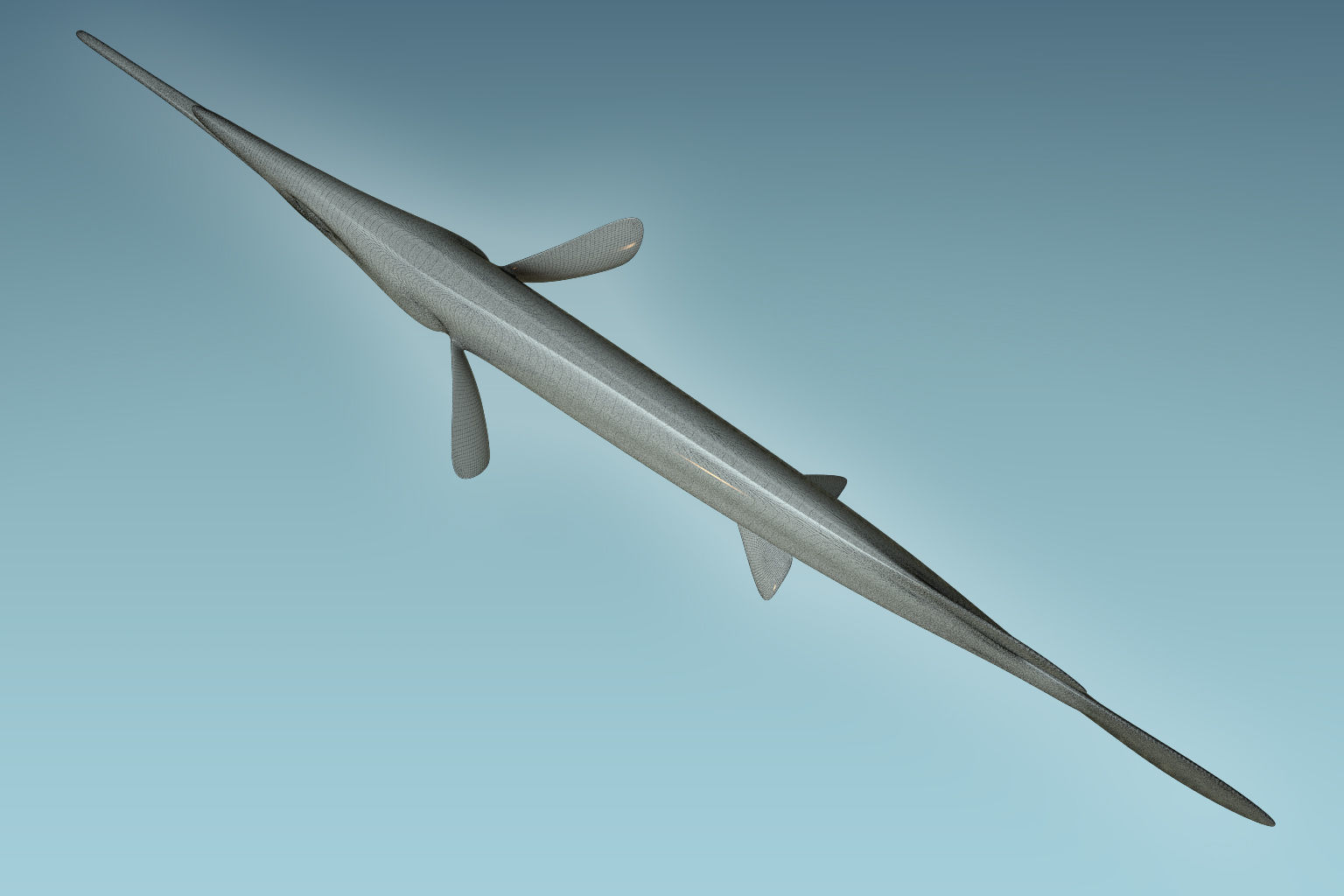 Wrestling Haflbeak Fish 3D model_8