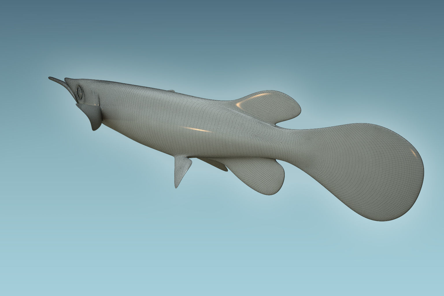 Wrestling Haflbeak Fish 3D model_7