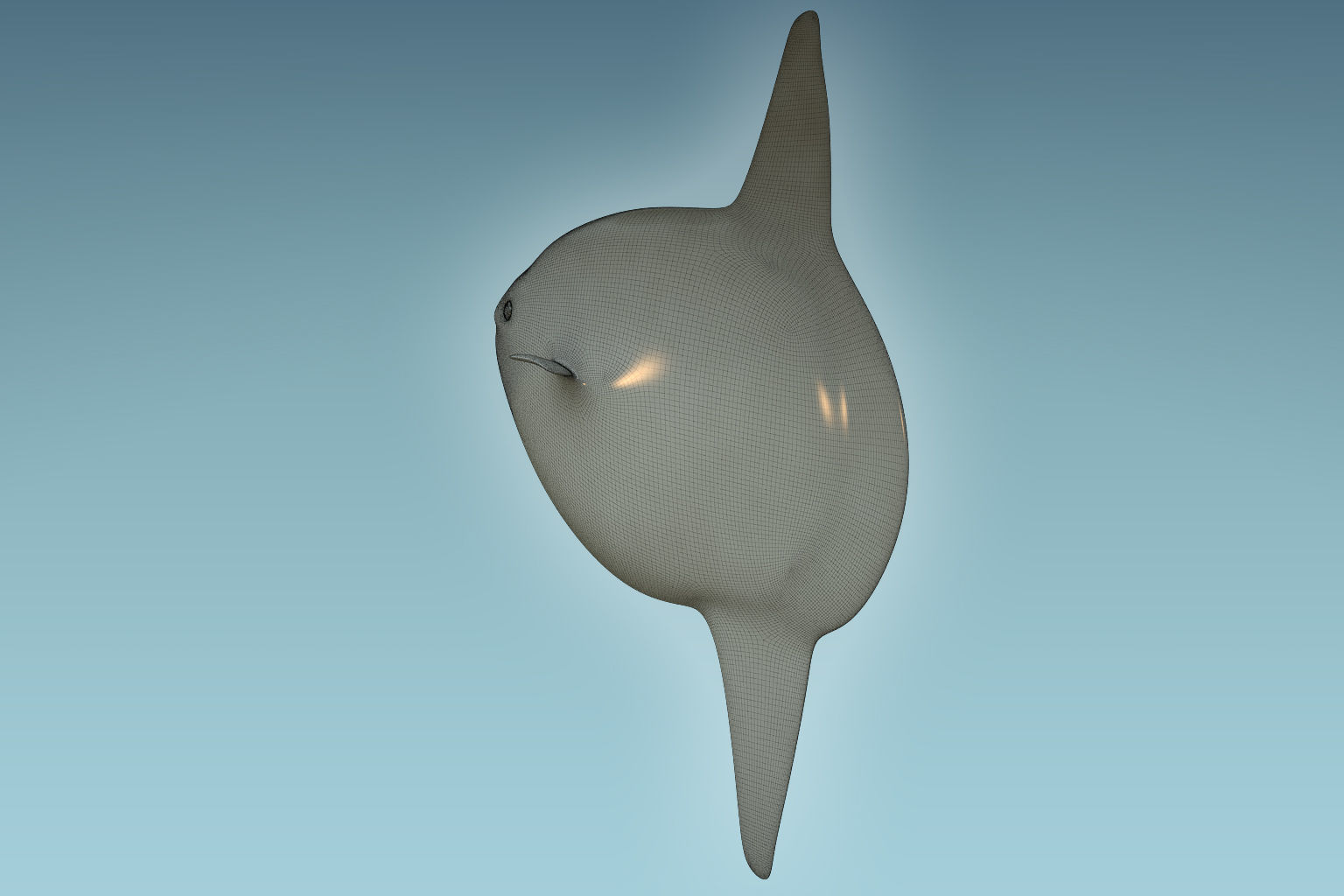 Sunfish close up of tuna fish 3D model_8