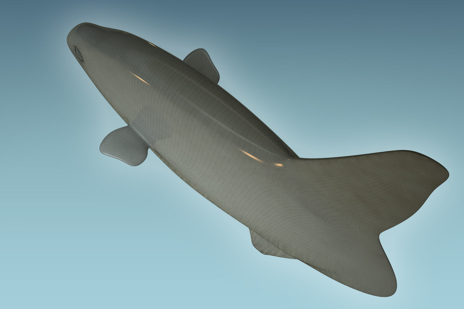 Sunfish close up of tuna fish 3D model_7