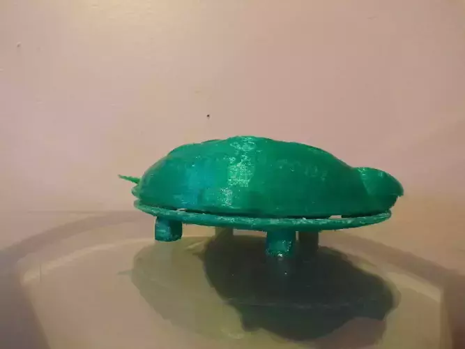 Turtle Soap Dish