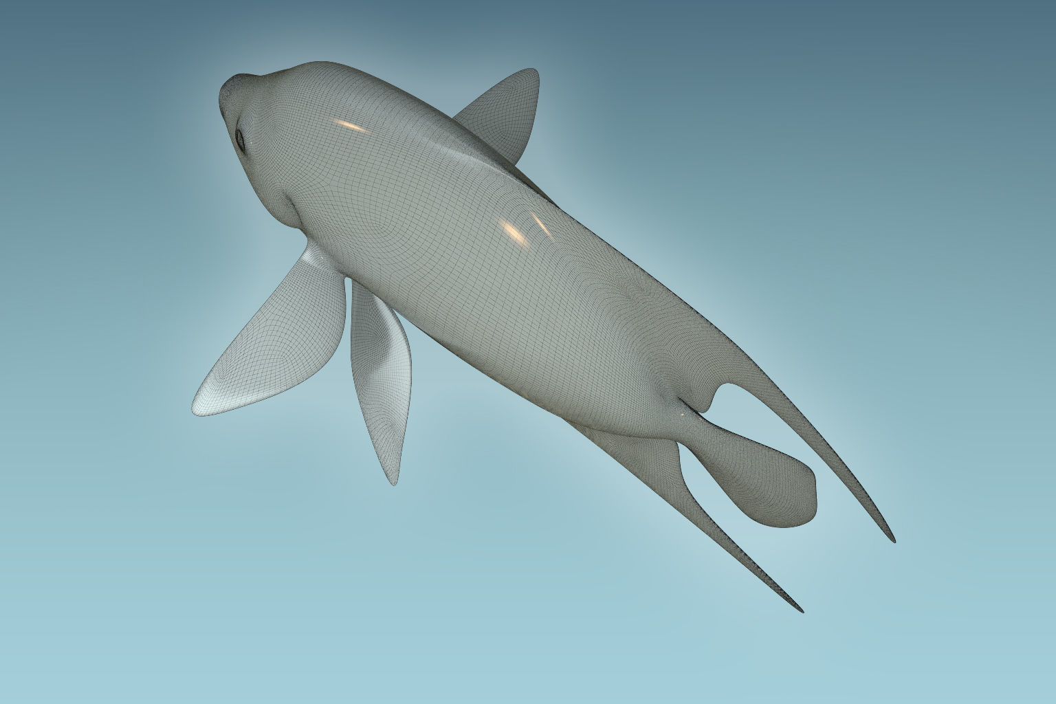 Anglefish 3 flying fish 3D model_8