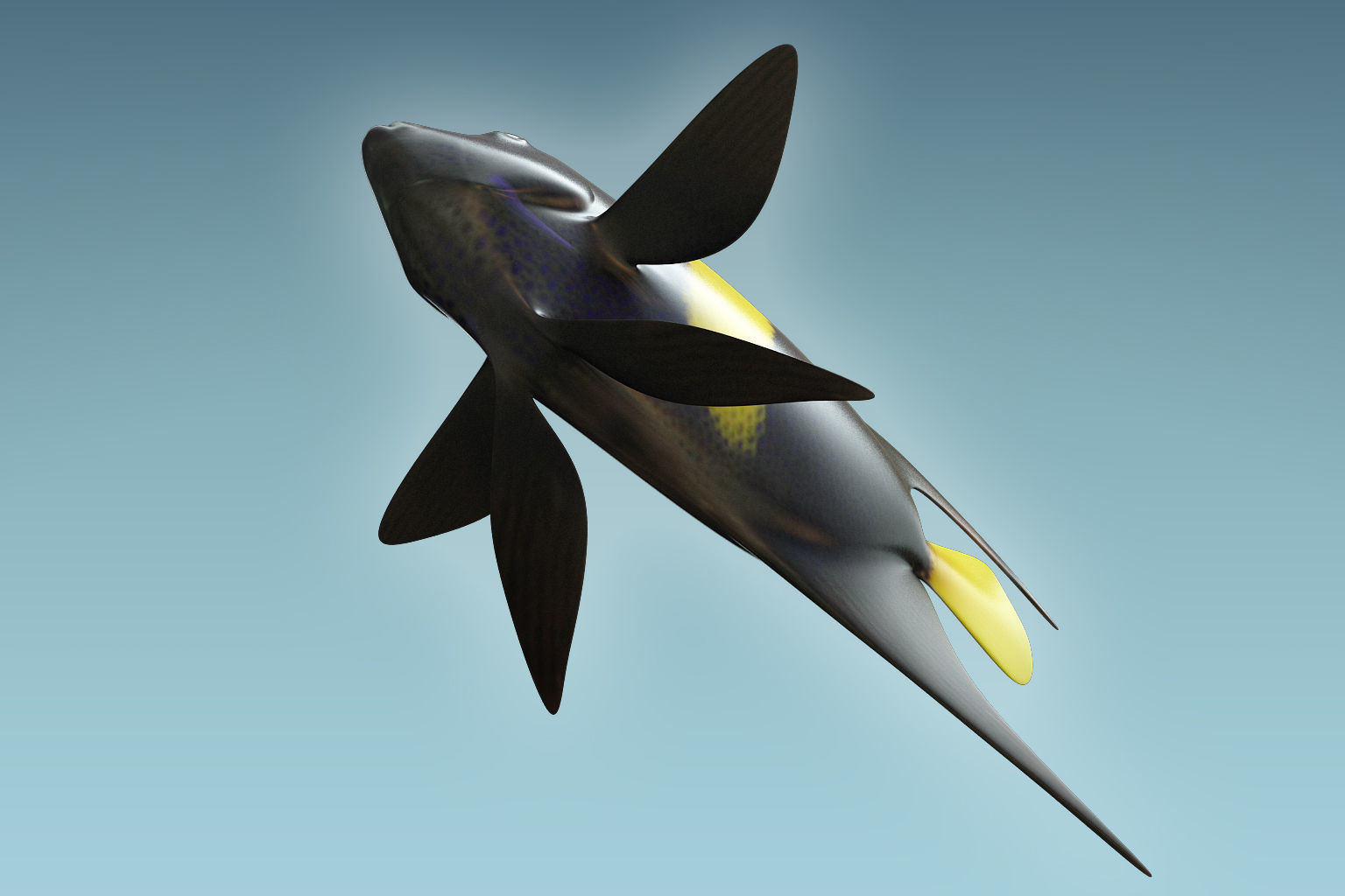 Anglefish 3 flying fish 3D model_2