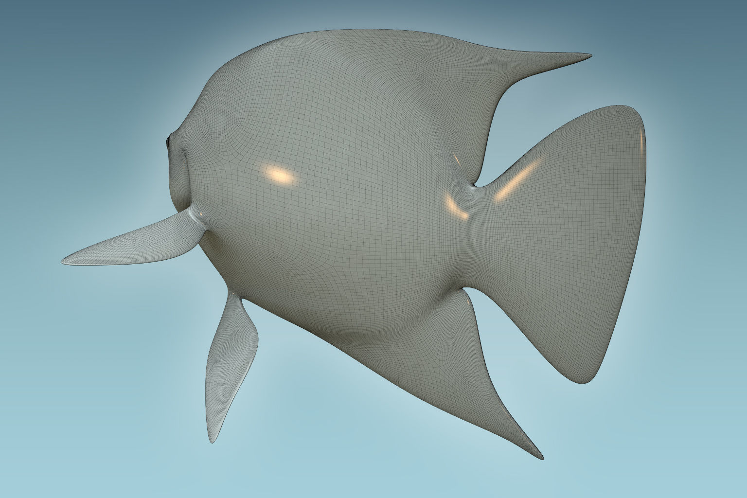 Anglefish 5 angelfish 3D model_7