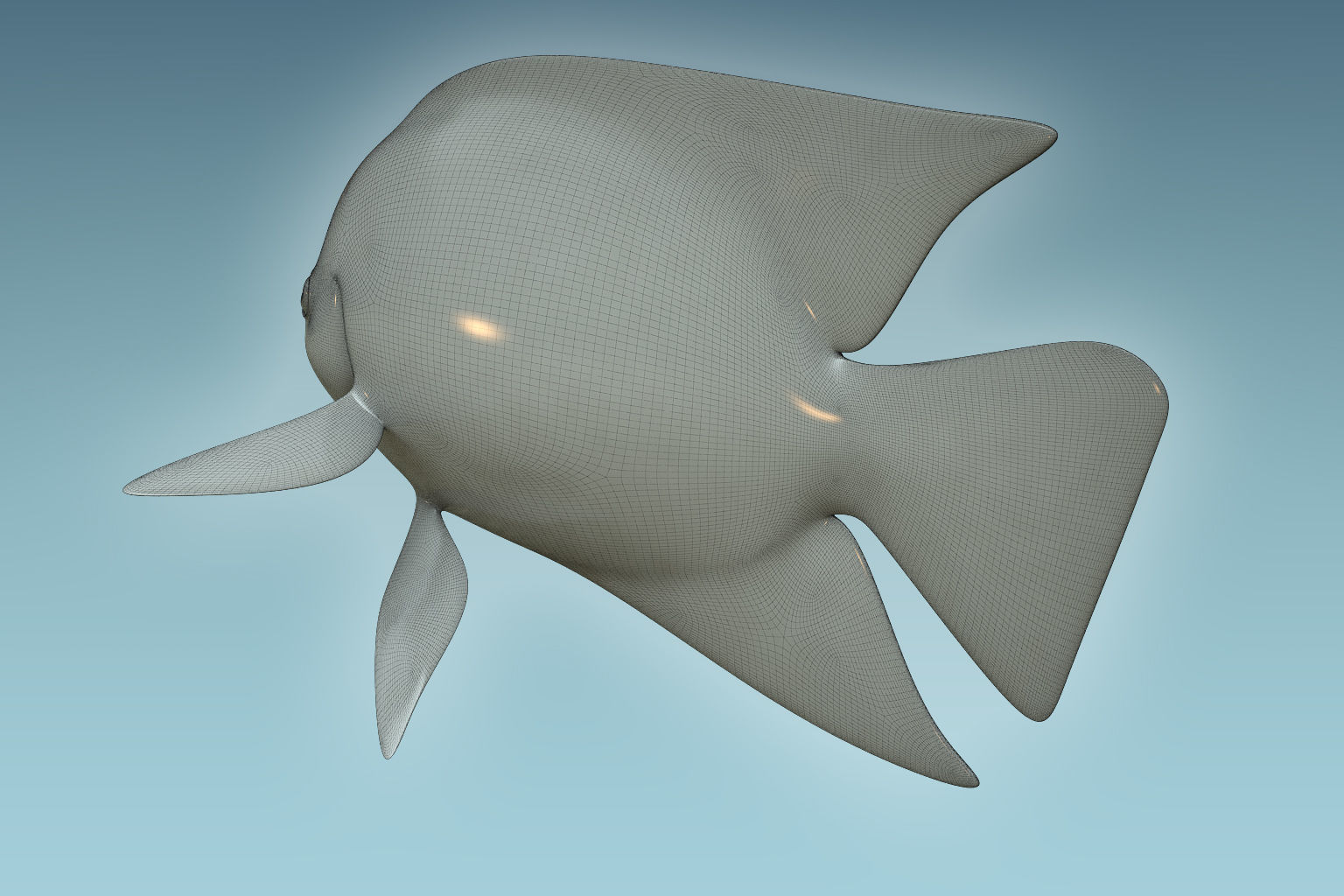 Anglefish 6 angelfish 3D model_8