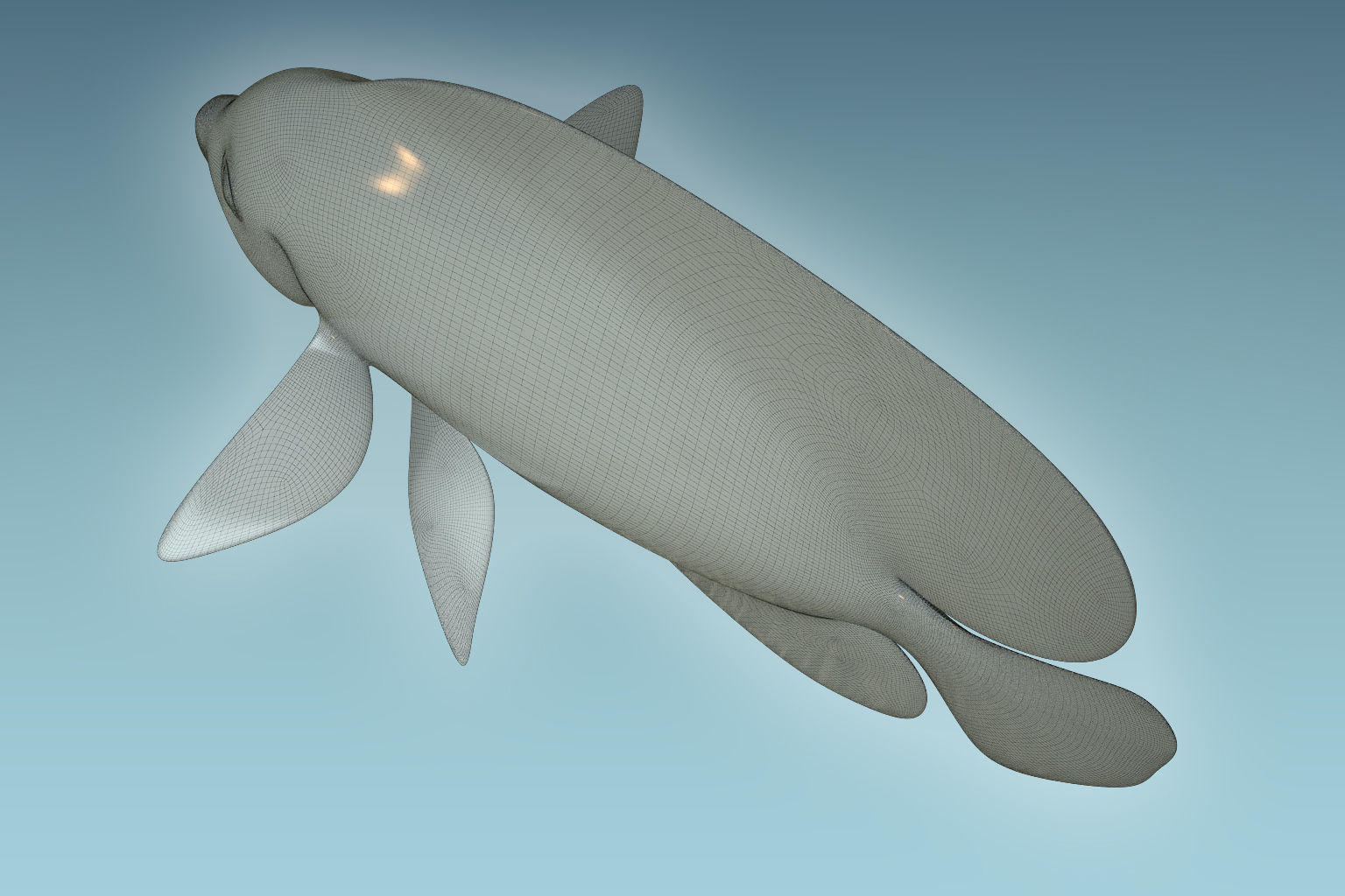 Anglefish 7 butterfly fish 3D model_8