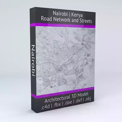 Nairobi Road Network and Streets 3D model