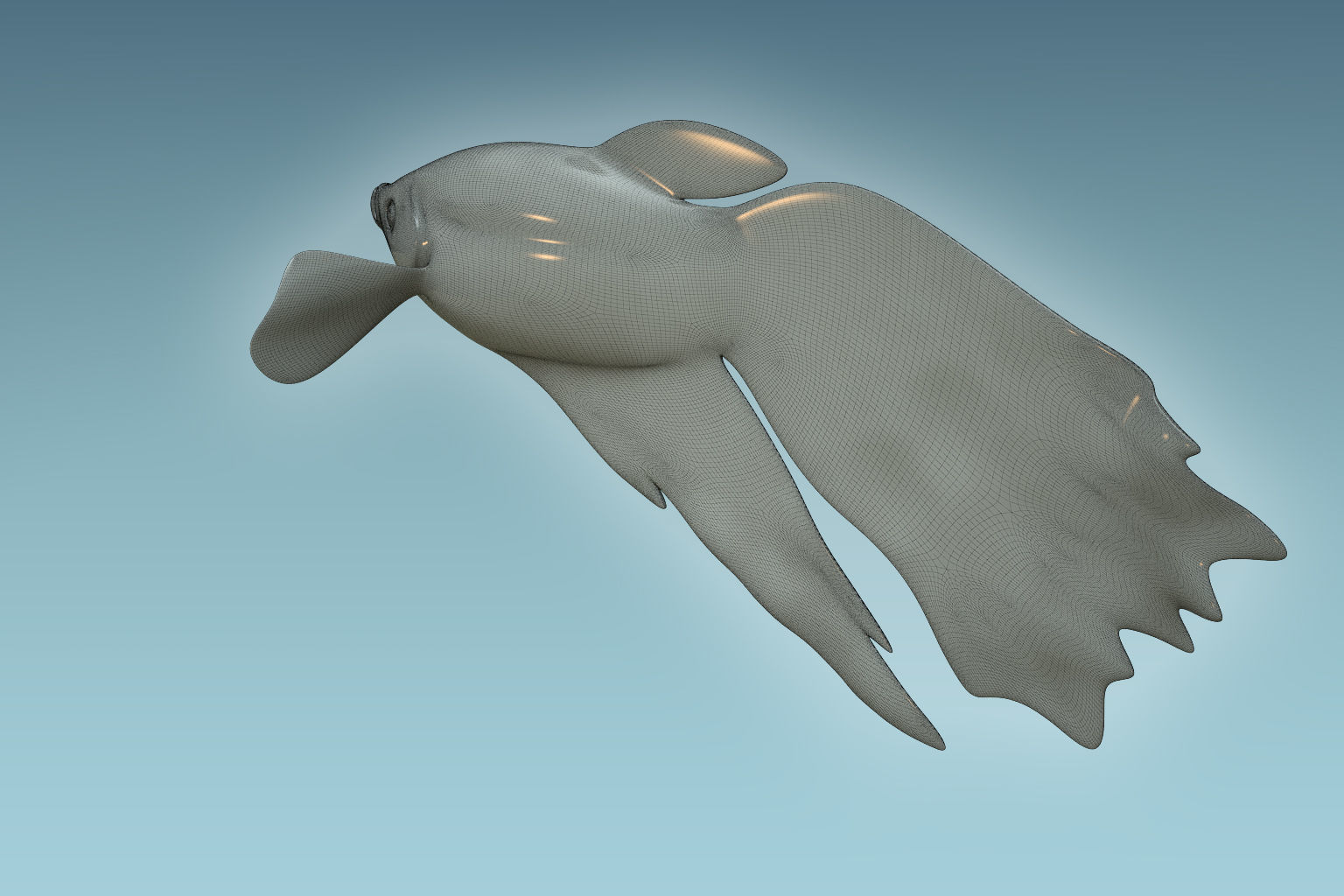 Betta Fish 1 3D model_7