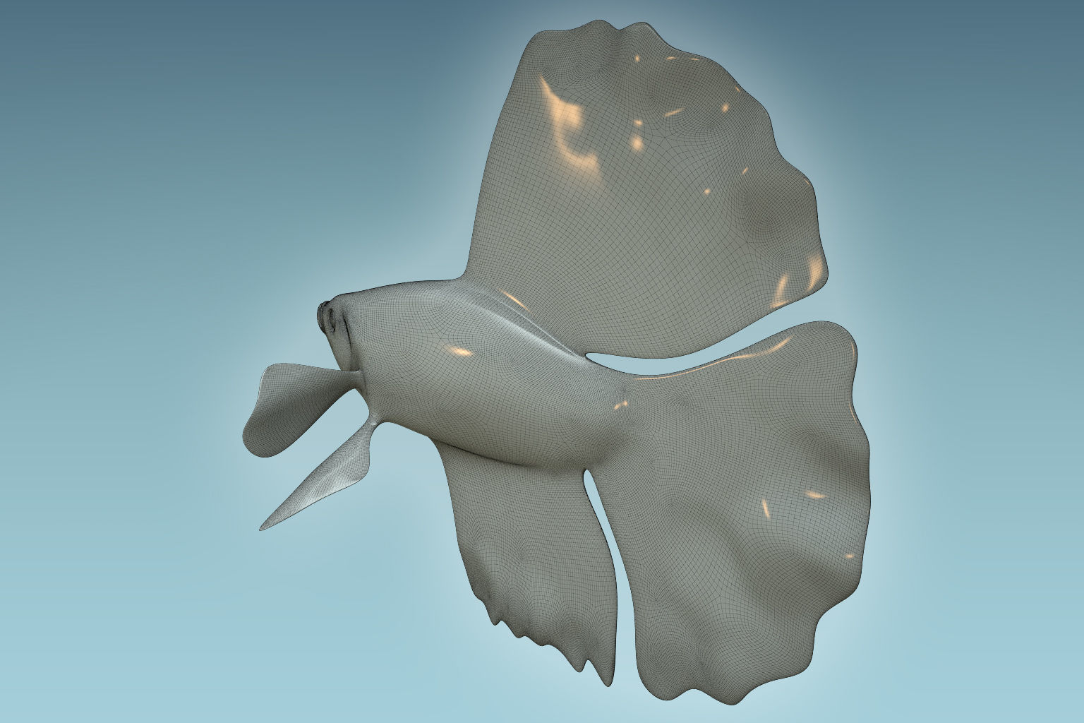 Betta Fish 4 3D model_7