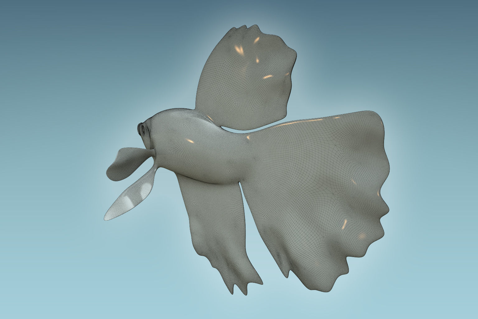 Betta Fish 5 3D model_7