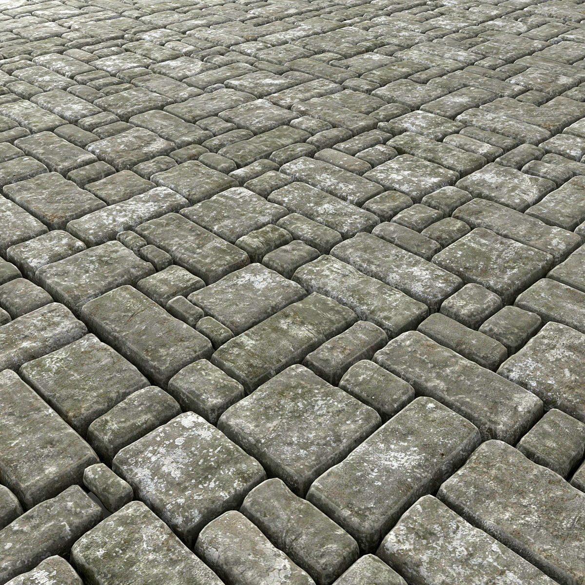 Paving old title n2 3D model_3