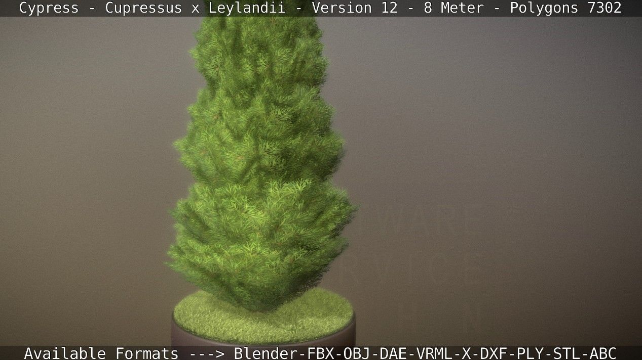 Cypress - Cupressus x Leylandii - Version 12 - 8 Meter Low-poly 3D model_62