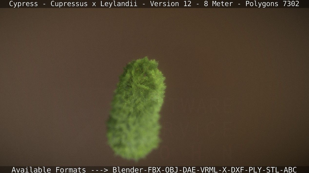 Cypress - Cupressus x Leylandii - Version 12 - 8 Meter Low-poly 3D model_44