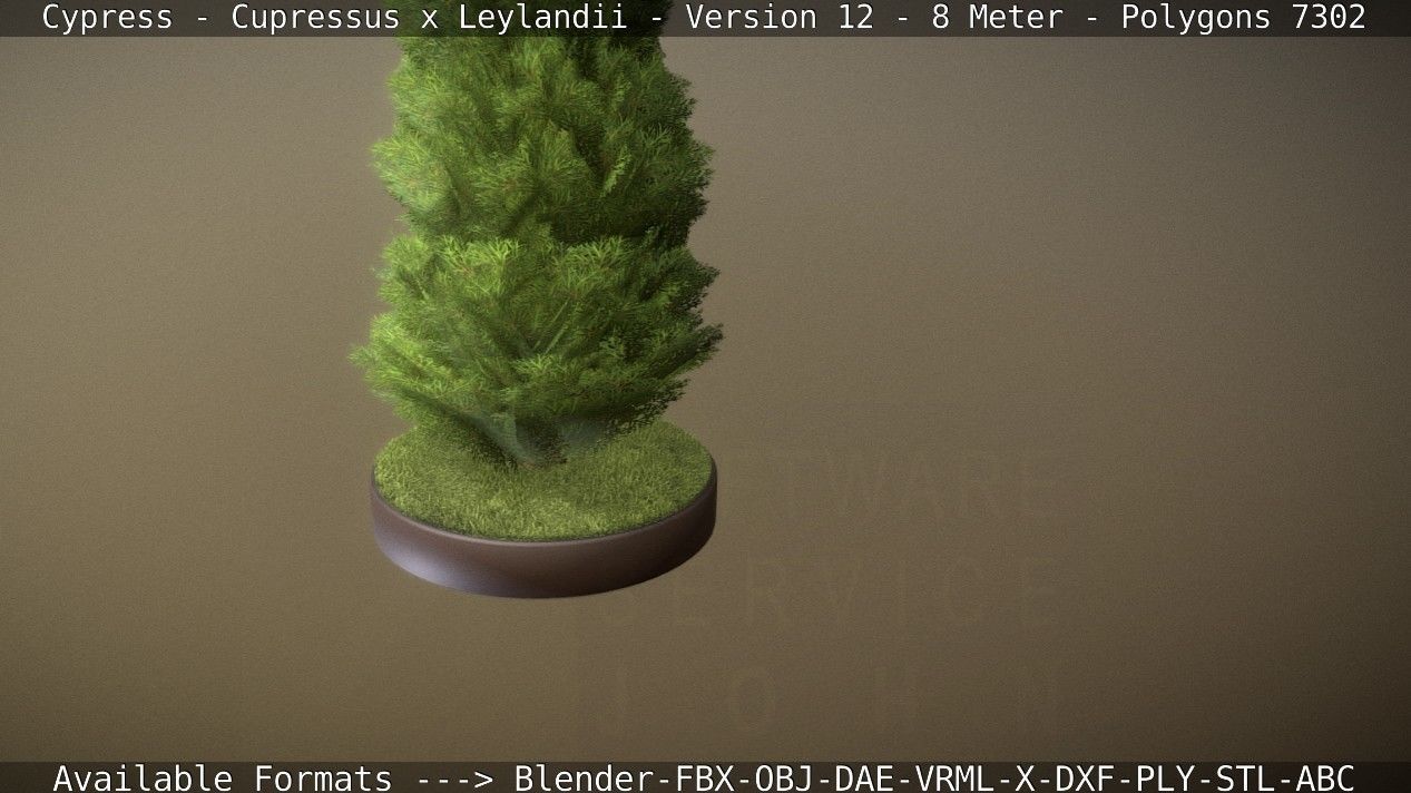 Cypress - Cupressus x Leylandii - Version 12 - 8 Meter Low-poly 3D model_64