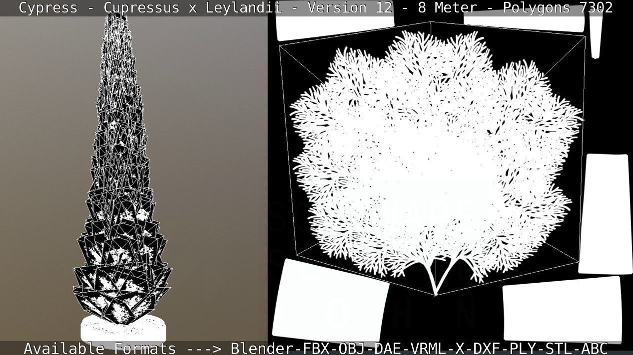 Cypress - Cupressus x Leylandii - Version 12 - 8 Meter Low-poly 3D model_11