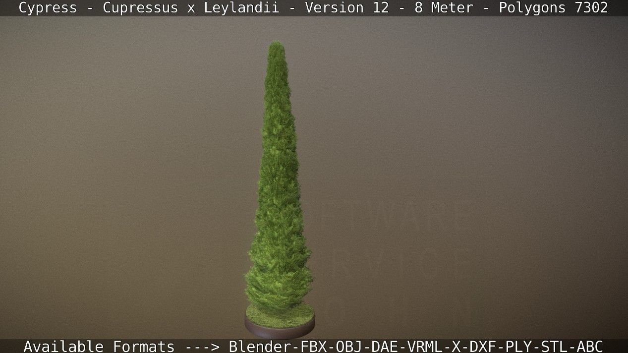 Cypress - Cupressus x Leylandii - Version 12 - 8 Meter Low-poly 3D model_20