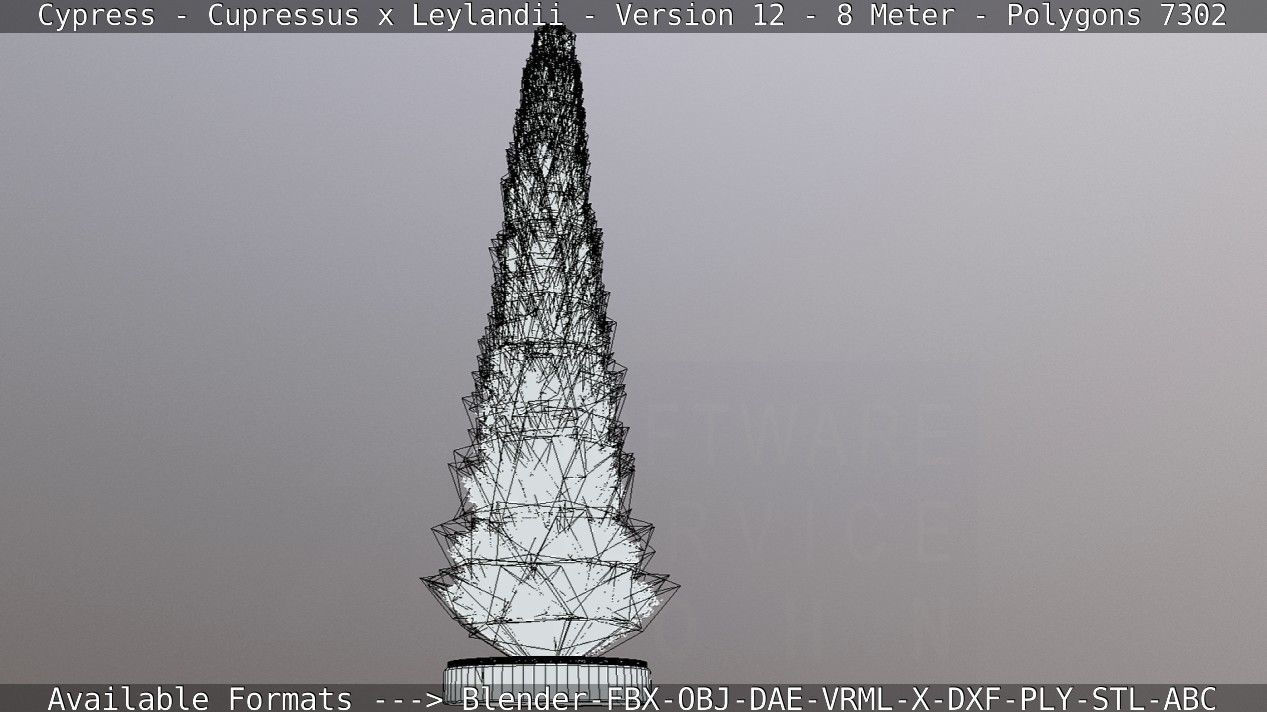 Cypress - Cupressus x Leylandii - Version 12 - 8 Meter Low-poly 3D model_16
