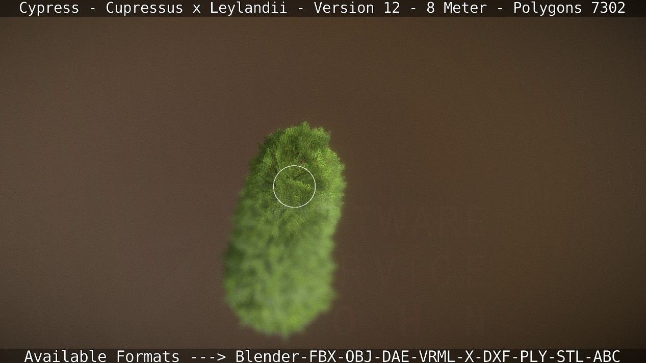 Cypress - Cupressus x Leylandii - Version 12 - 8 Meter Low-poly 3D model_43