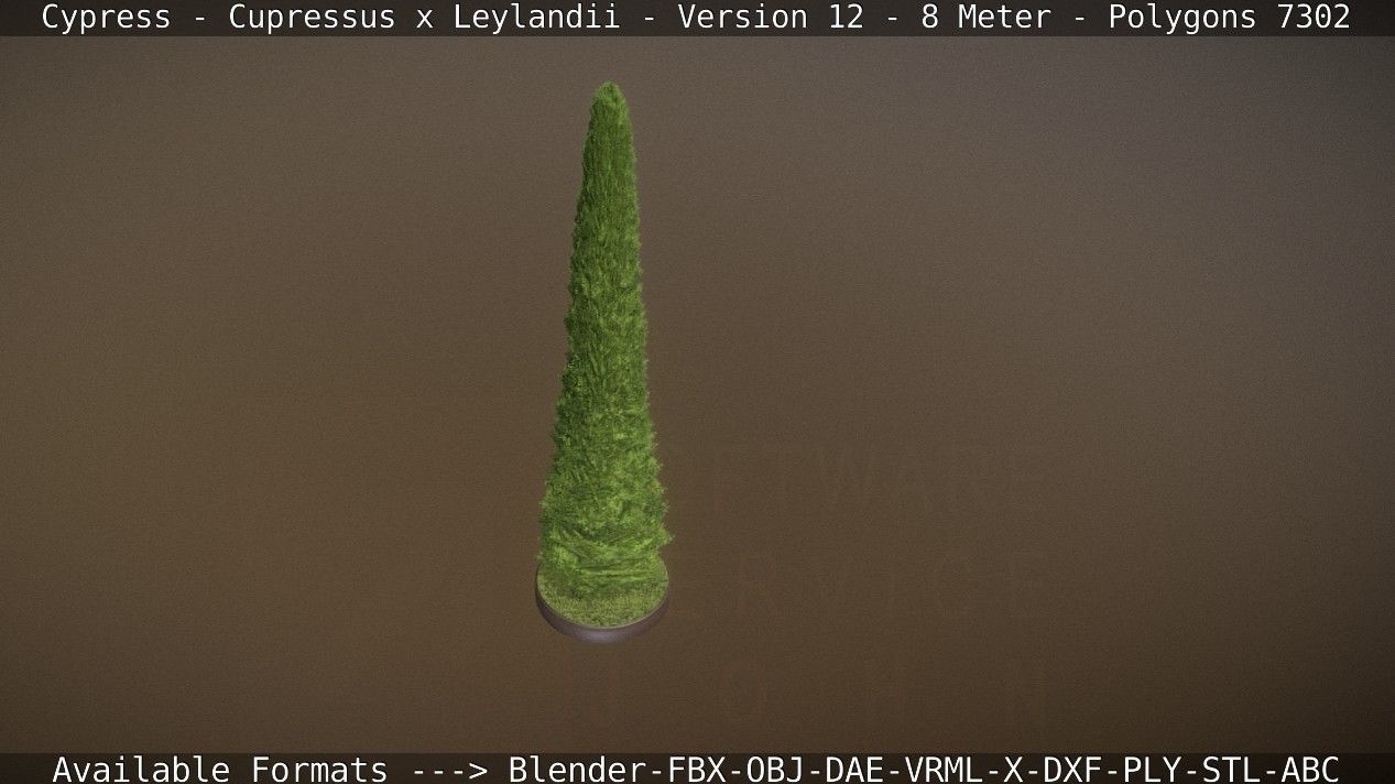 Cypress - Cupressus x Leylandii - Version 12 - 8 Meter Low-poly 3D model_78