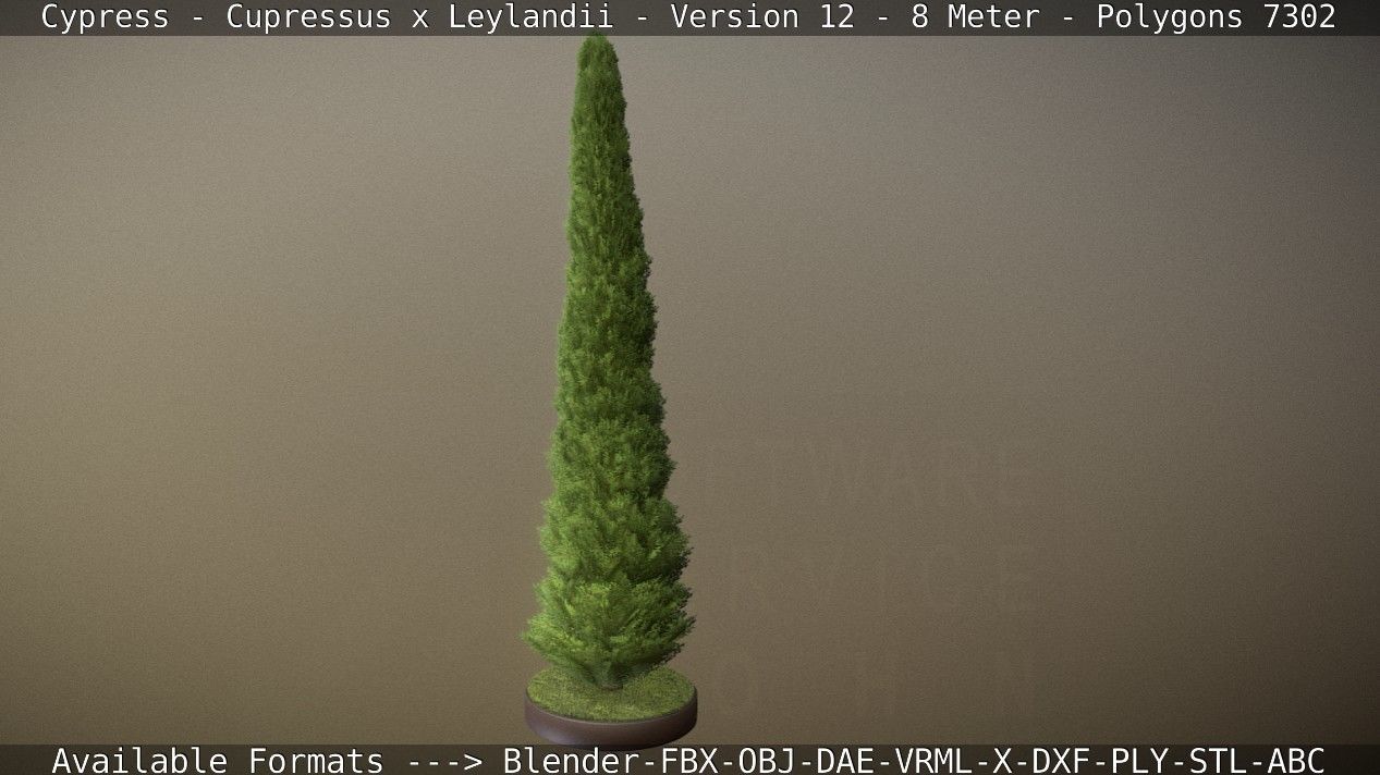 Cypress - Cupressus x Leylandii - Version 12 - 8 Meter Low-poly 3D model_76