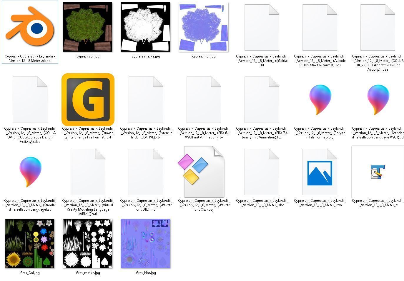 Cypress - Cupressus x Leylandii - Version 12 - 8 Meter Low-poly 3D model_4