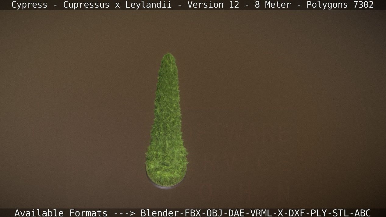 Cypress - Cupressus x Leylandii - Version 12 - 8 Meter Low-poly 3D model_84
