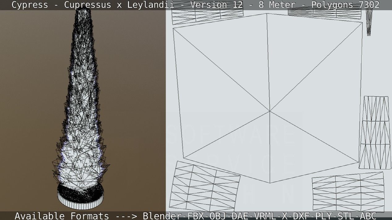 Cypress - Cupressus x Leylandii - Version 12 - 8 Meter Low-poly 3D model_7