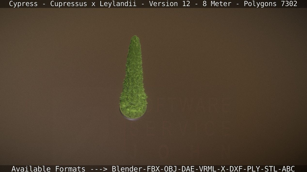 Cypress - Cupressus x Leylandii - Version 12 - 8 Meter Low-poly 3D model_80