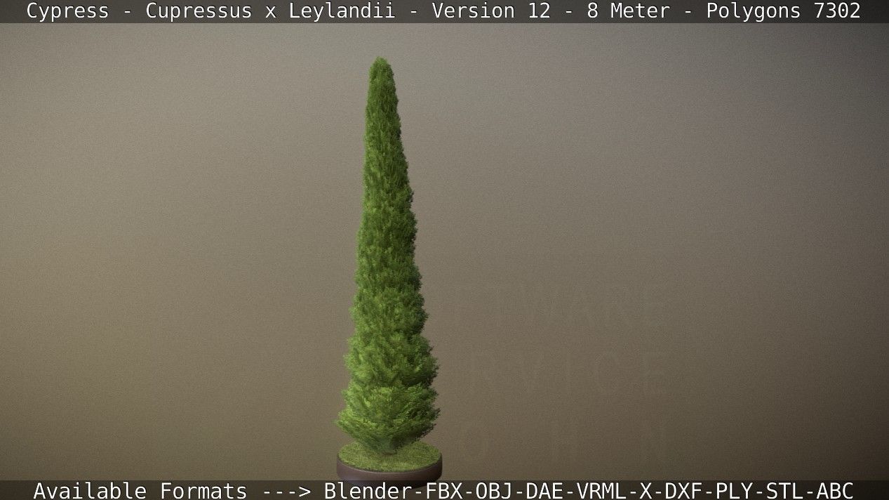 Cypress - Cupressus x Leylandii - Version 12 - 8 Meter Low-poly 3D model_27