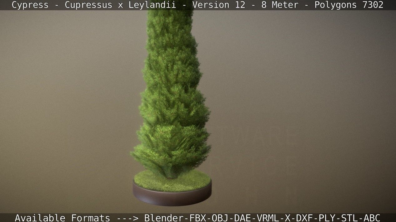 Cypress - Cupressus x Leylandii - Version 12 - 8 Meter Low-poly 3D model_82