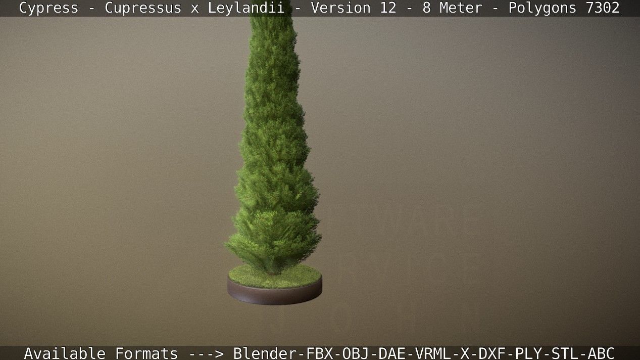 Cypress - Cupressus x Leylandii - Version 12 - 8 Meter Low-poly 3D model_72