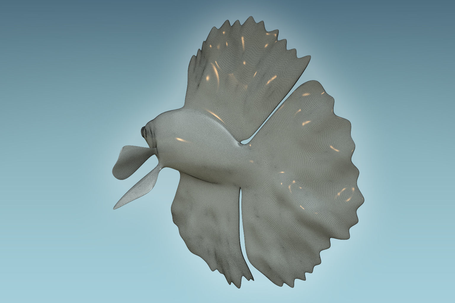 Betta Fish 8 3D model_7