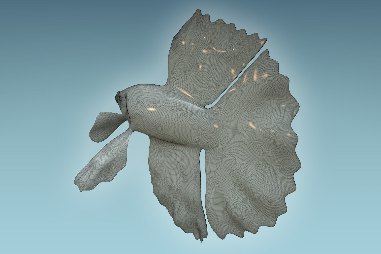 Betta Fish 9 3D model_7