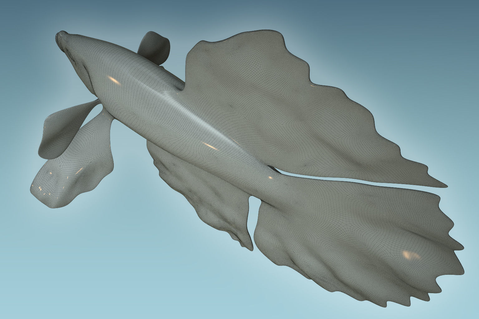 Betta Fish 9 3D model_8