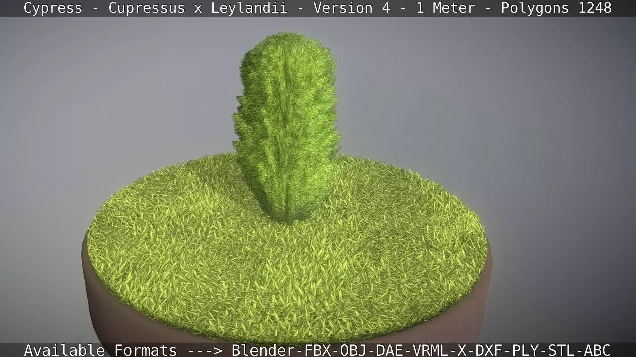 Cypress - Cupressus x Leylandii - Version 4 - 1 Meter Low-poly 3D model