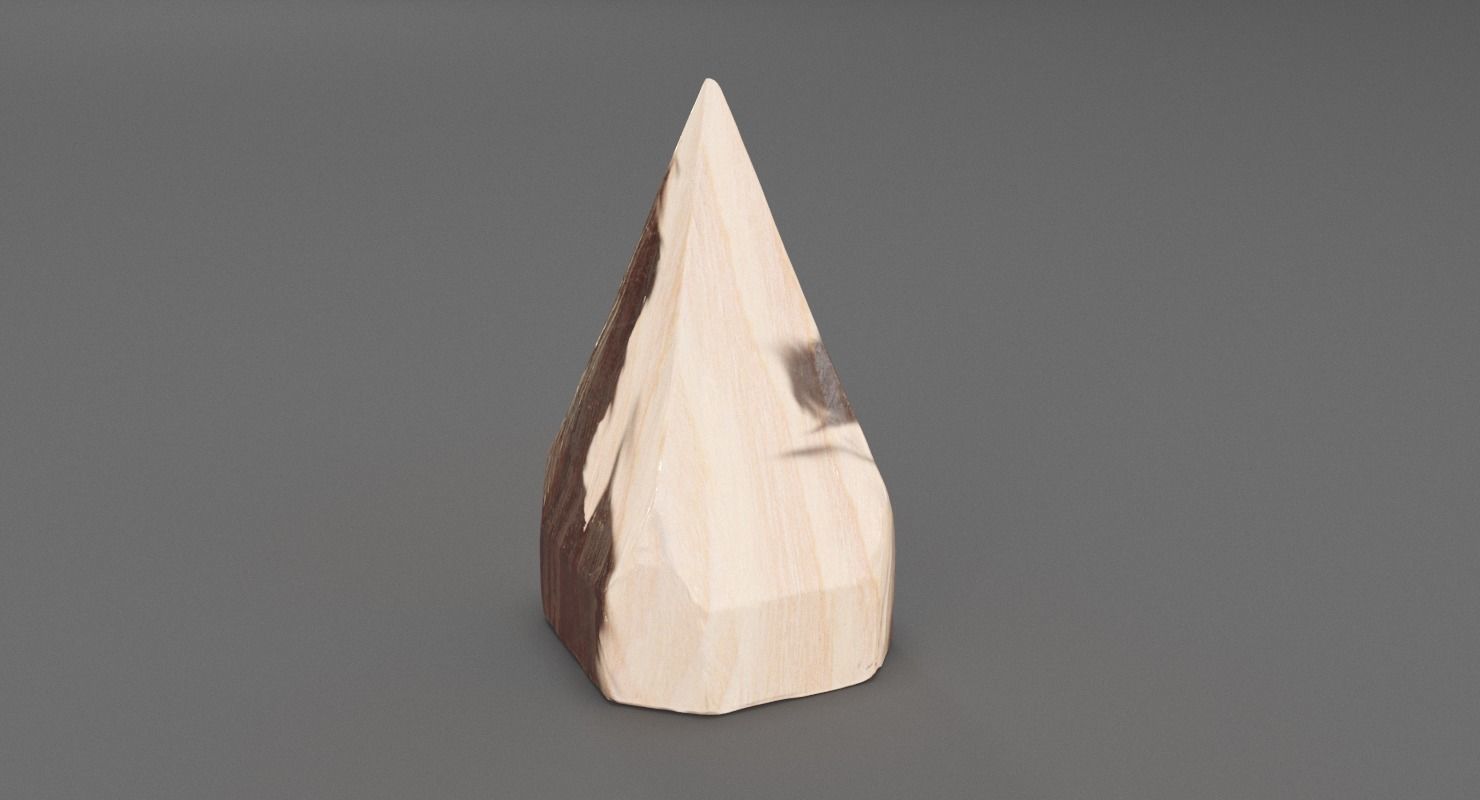 Petrified Wood Pyramid 3D model_4
